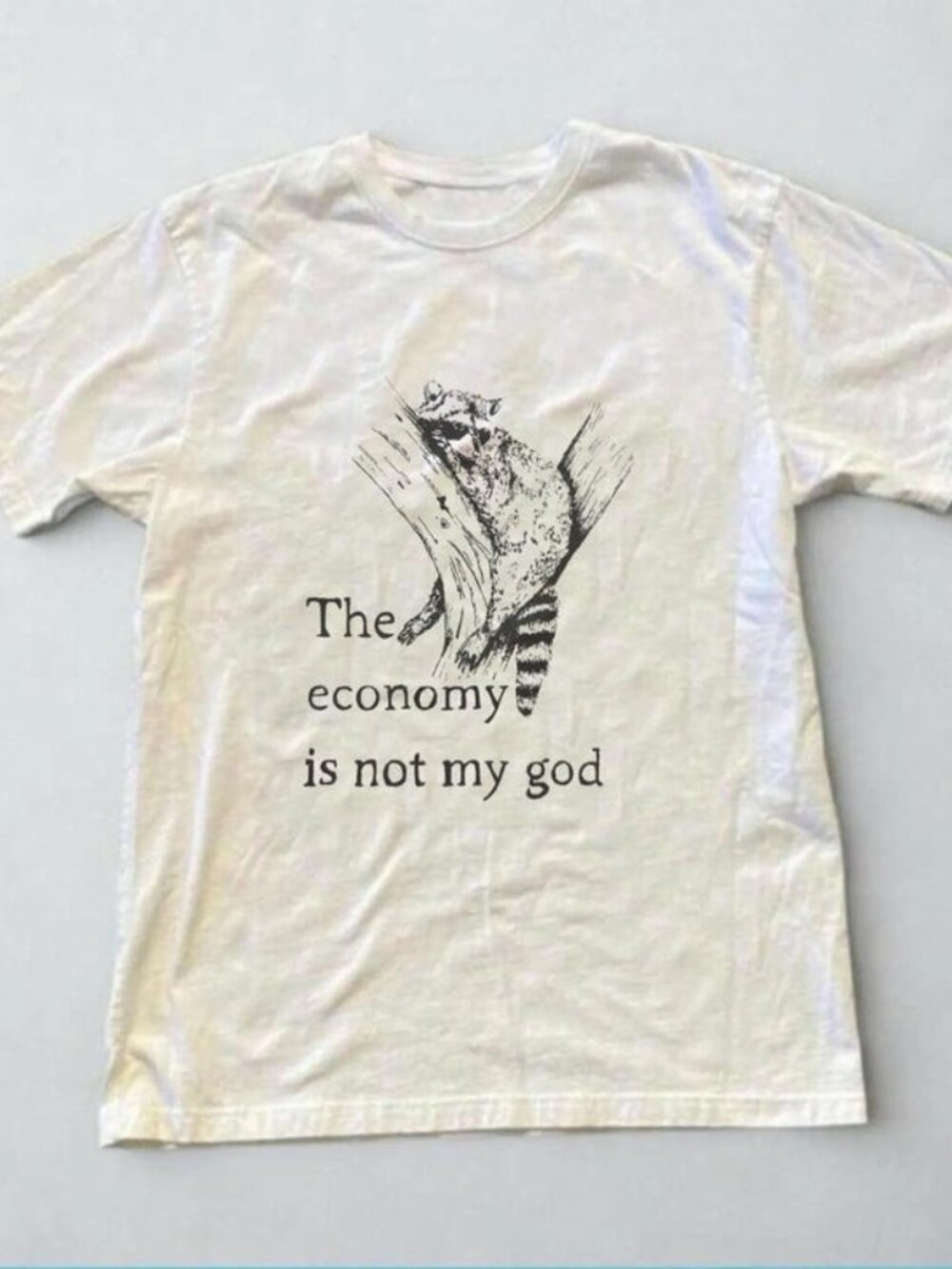 The Economy Is Not My God T-Shirt